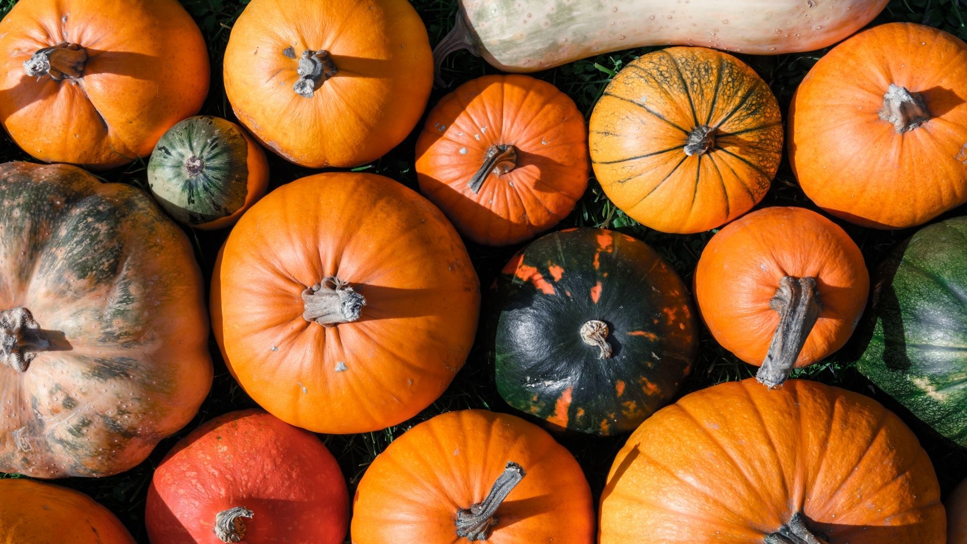 Pumpor Paleoskafferiet